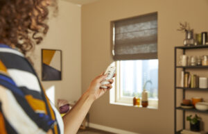 Somfy Roman Blinds Remote