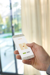 Somfy Curtains Remote